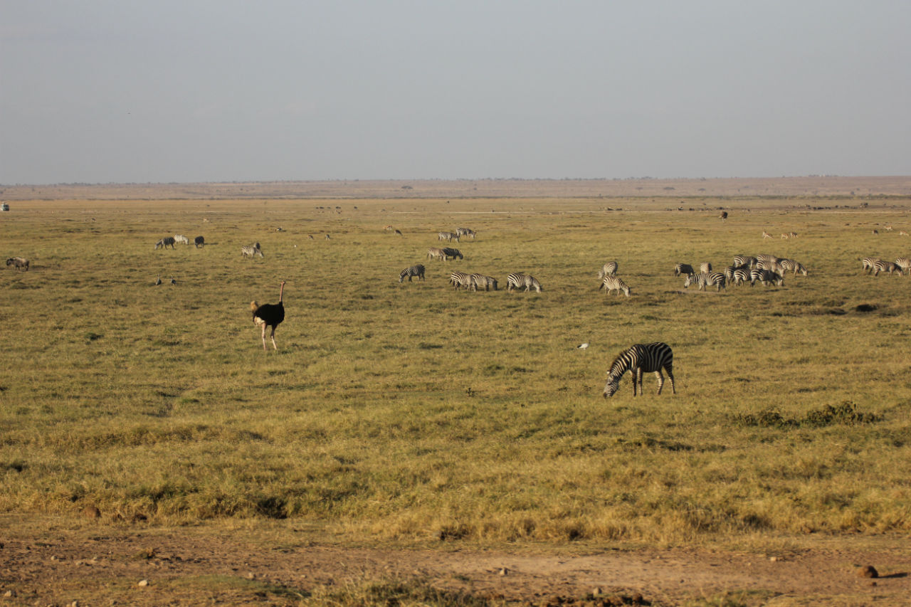 tanzanie sejour