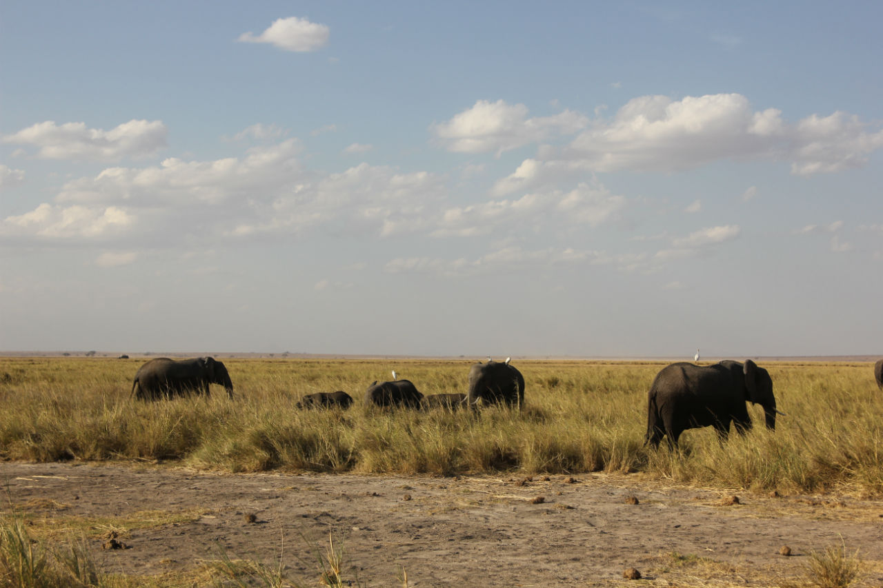 voyage tanzanie