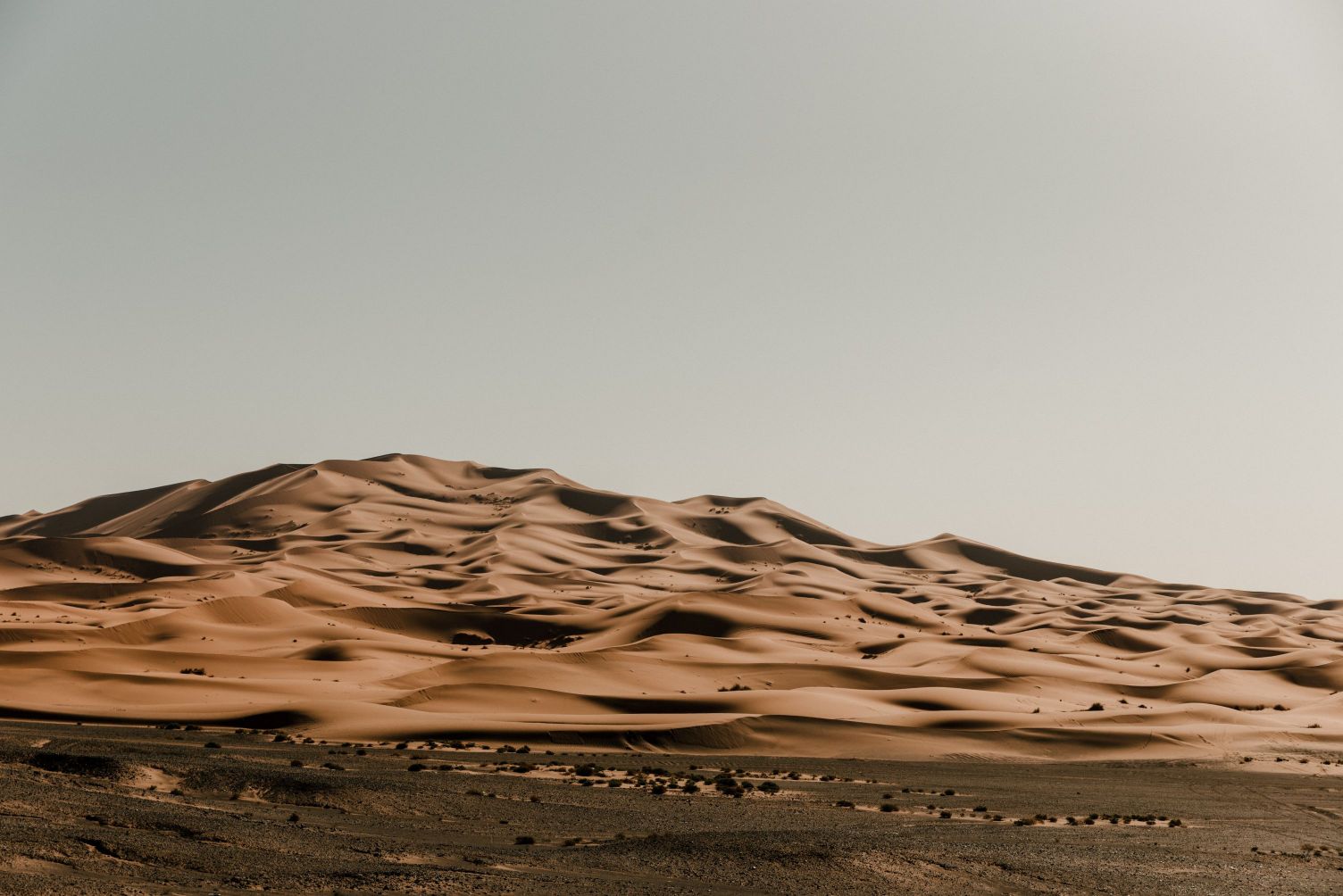 Beautiful Sahara landscape