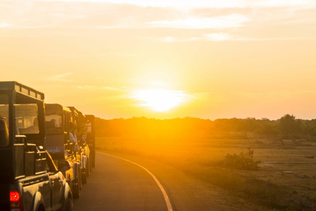 Amazing sunset during a safari in Tanzania