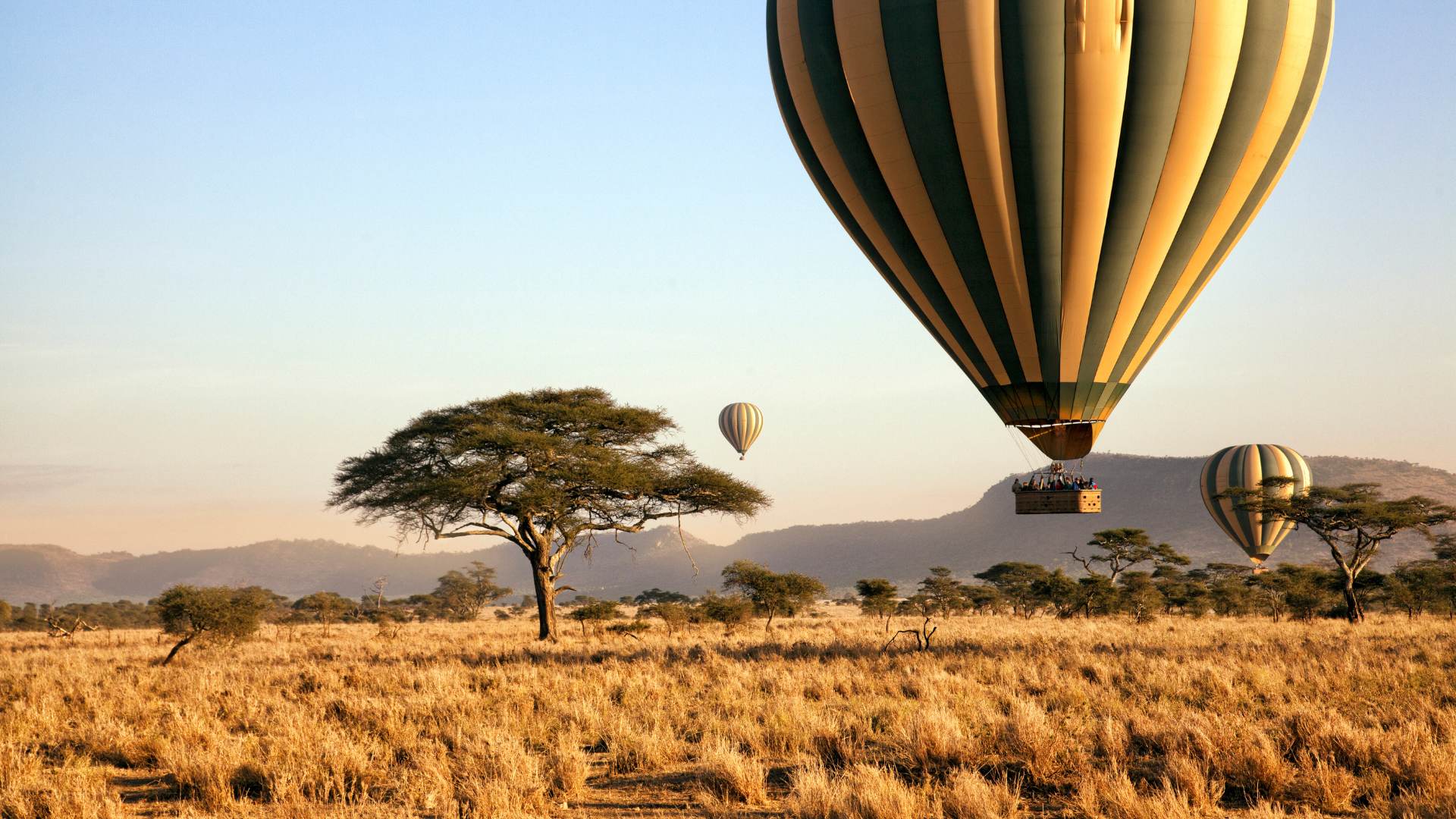 Parc de Serengeti