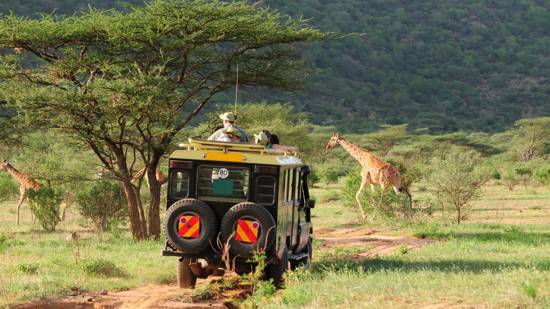 safaris en Afrique
