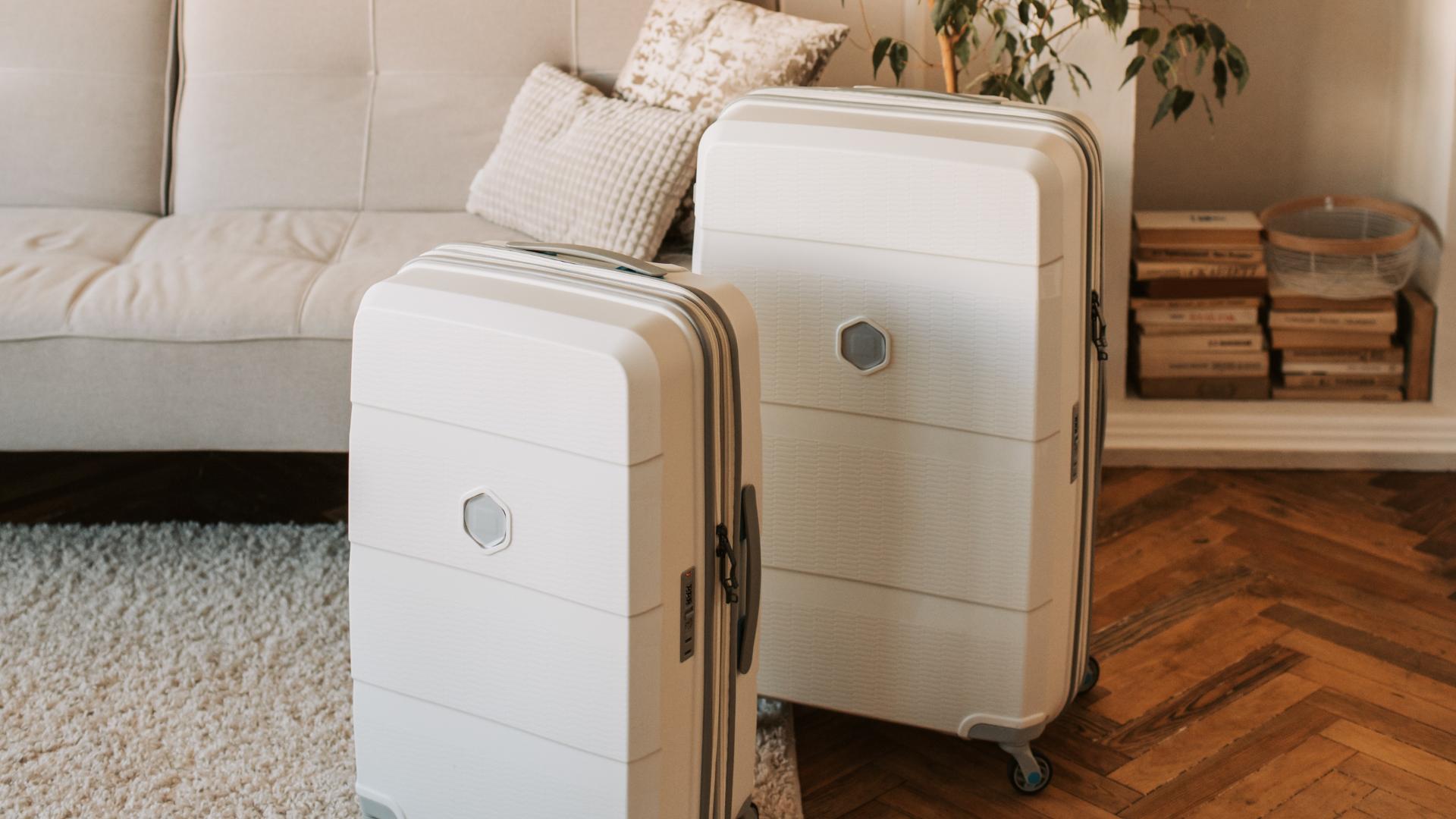 valise
